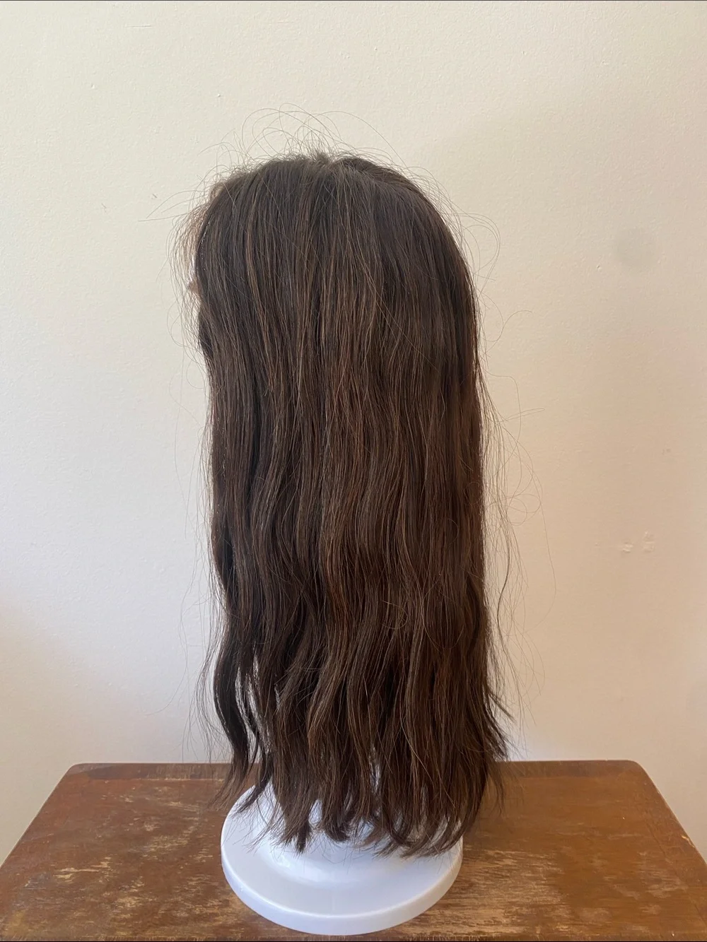 GORGEOUS Brown with highlights Human Hair Wig - Lace top